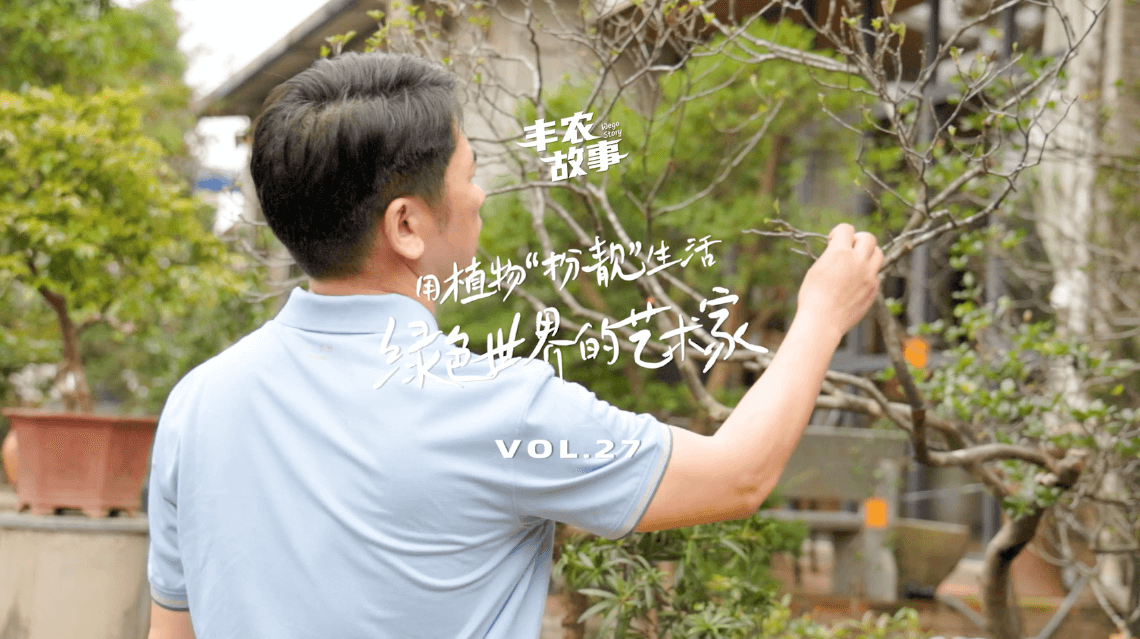 17年，他用一草一木去点亮了一个个家。