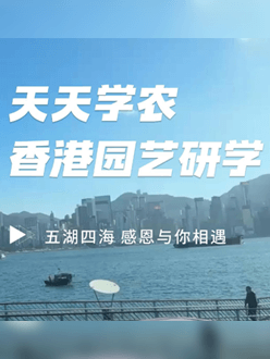 与香港园艺学会联合举办香港园艺研学，专业园境师带队讲解。