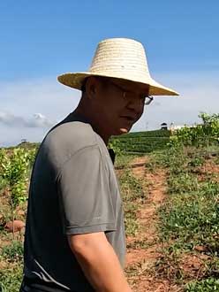 农业人叶涛，50多岁通讯人跨界搞农业，他要用1000万打造一个梦。